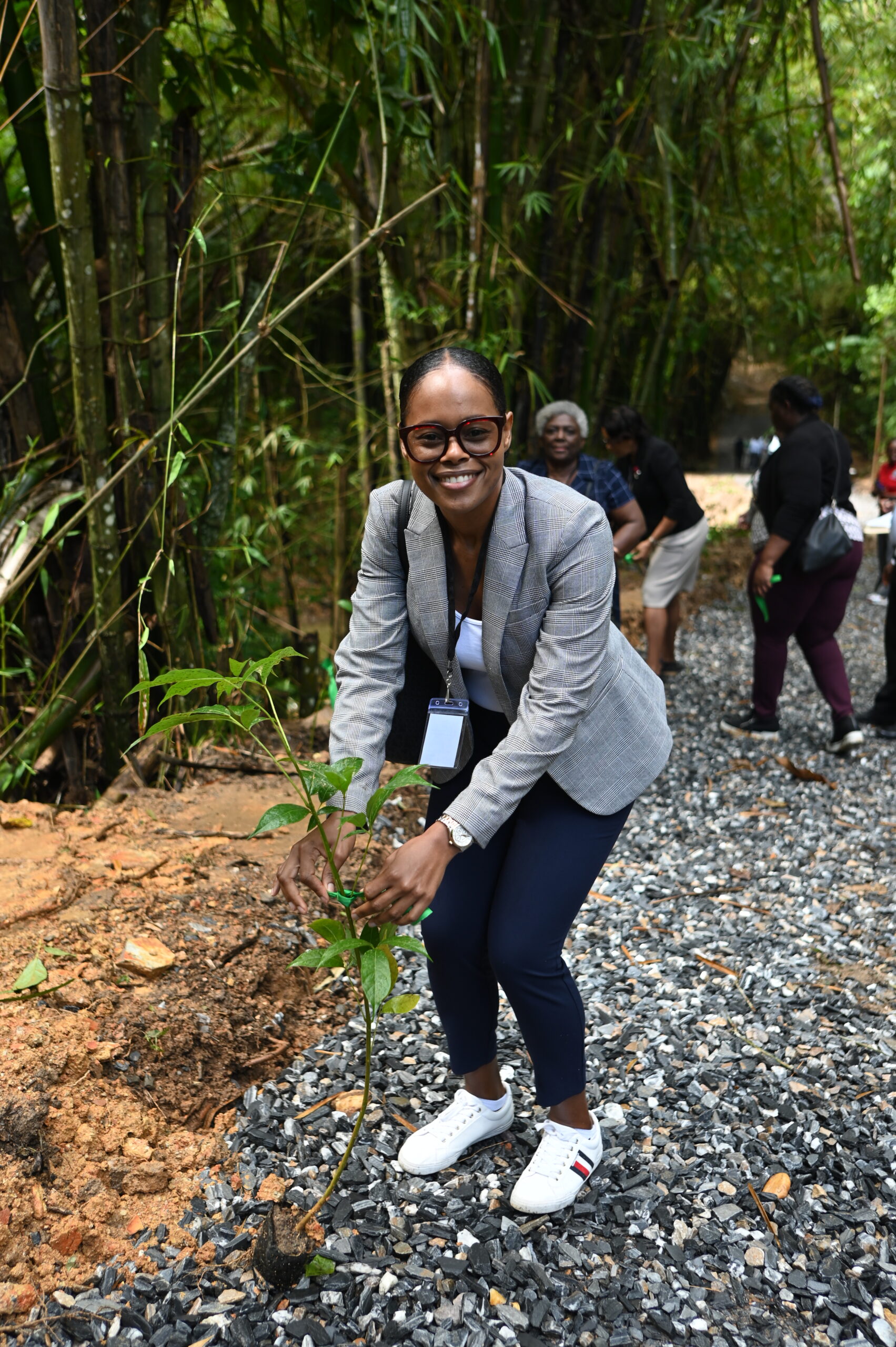 A smiling woman wearing a blazer and white trainers leans down to plant a small tree sapling beside a gravel path near a bamboo forest.
